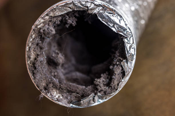 Best Air Duct Cleaning Near Me  in Farmington, MS