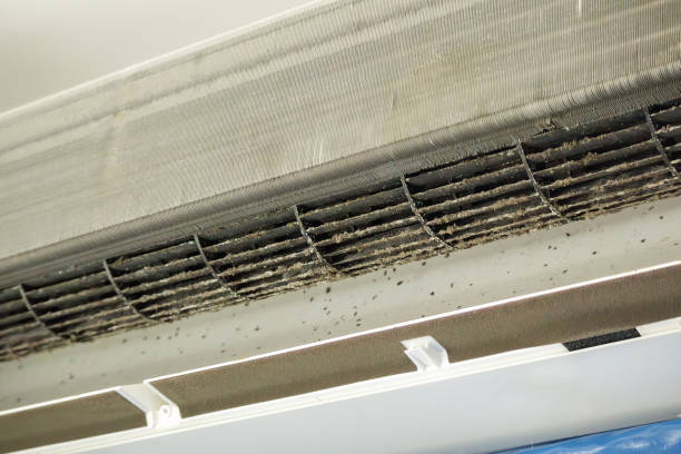 Best Air Duct Cleaning Near Me  in Farmington, MS